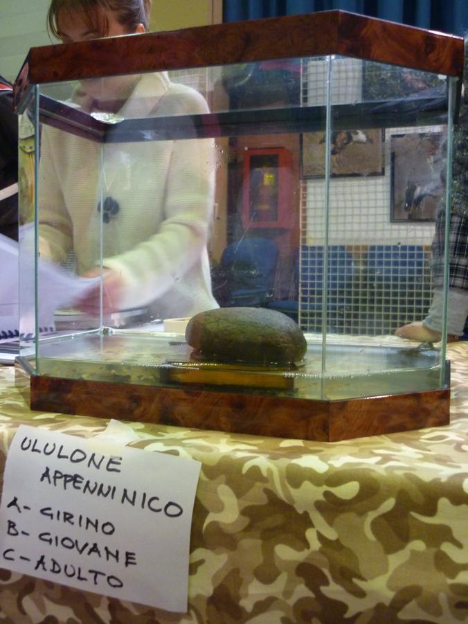 Tartufesta a Pianoro, con il Centro Anfibi!